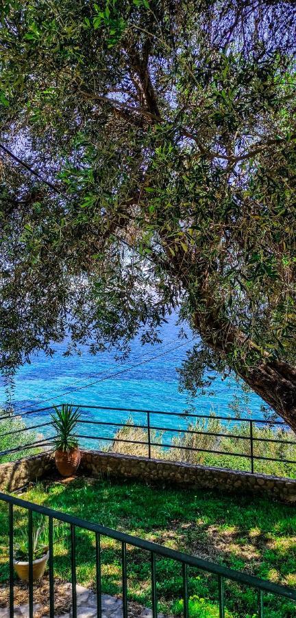 Villa Fourtuna Apartment Agios Ioannis Peristeron  Exterior photo