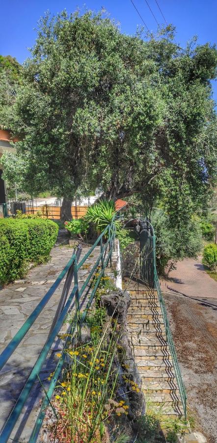 Villa Fourtuna Apartment Agios Ioannis Peristeron  Exterior photo