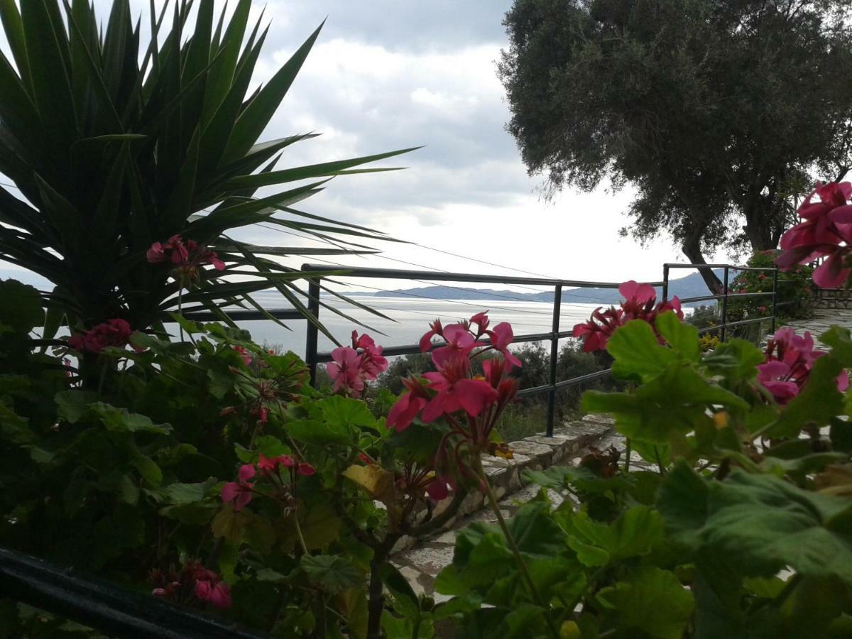 Villa Fourtuna Apartment Agios Ioannis Peristeron  Exterior photo
